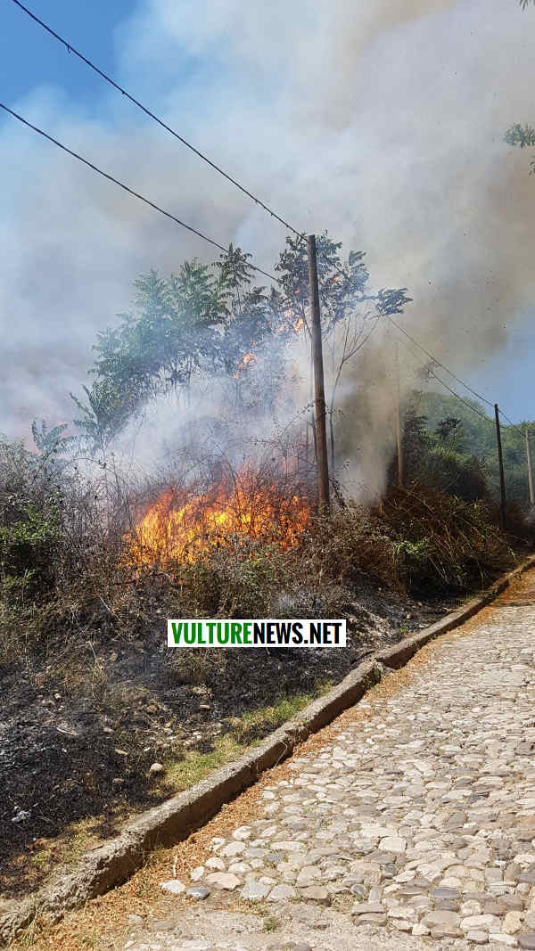 protezione civile3