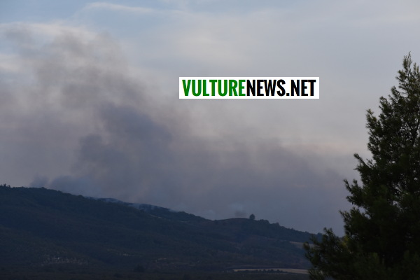 incendio vulture