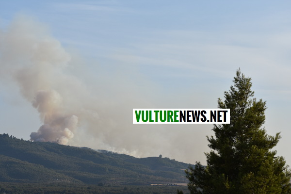 incendio vulture0