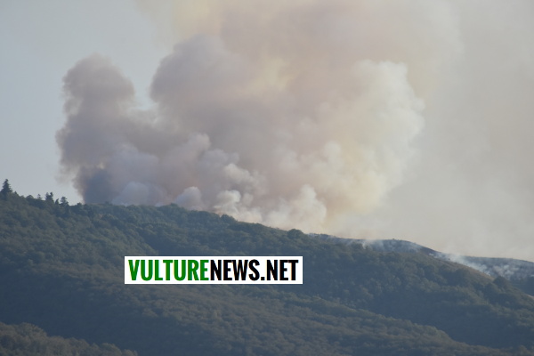 incendio vulture2