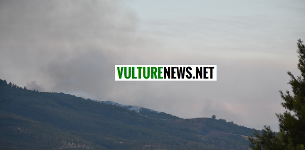 incendio vulture4