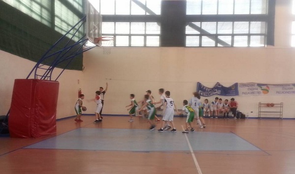 4 Basket